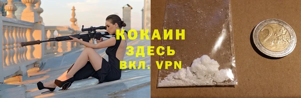 ГАЛЛЮЦИНОГЕННЫЕ ГРИБЫ Пестово