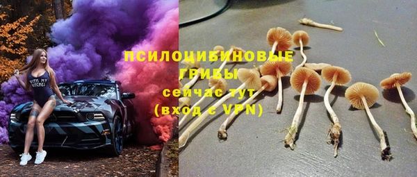 ГАЛЛЮЦИНОГЕННЫЕ ГРИБЫ Пестово