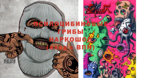 герыч Пересвет
