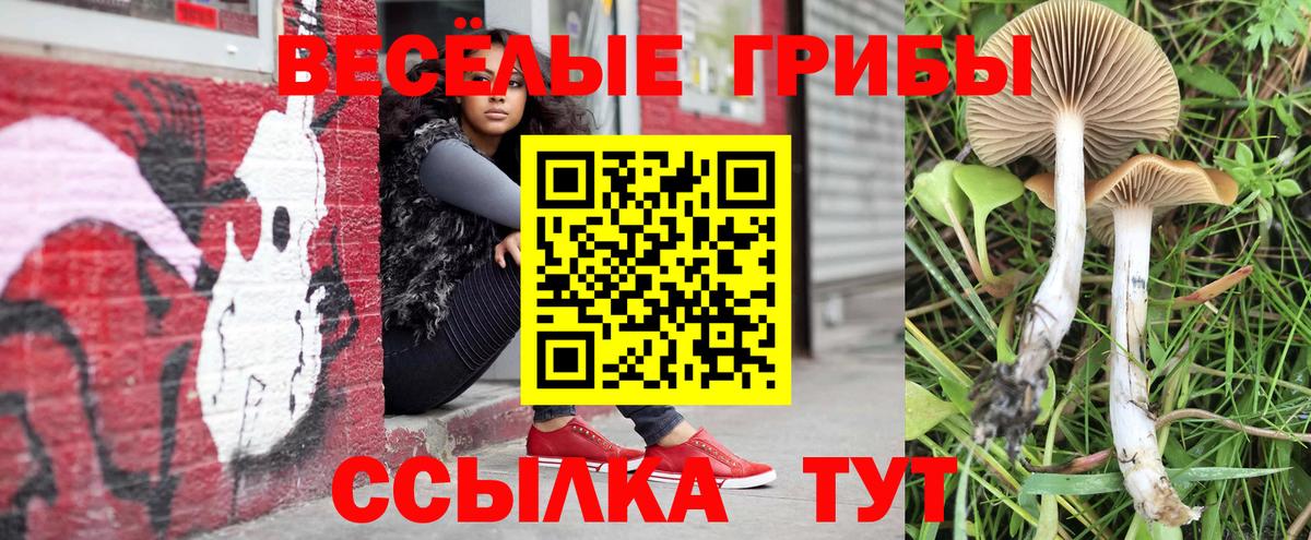 Галлюциногенные грибы GOLDEN TEACHER  Аша  Галлюциногенные грибы GOLDEN TEACHER 