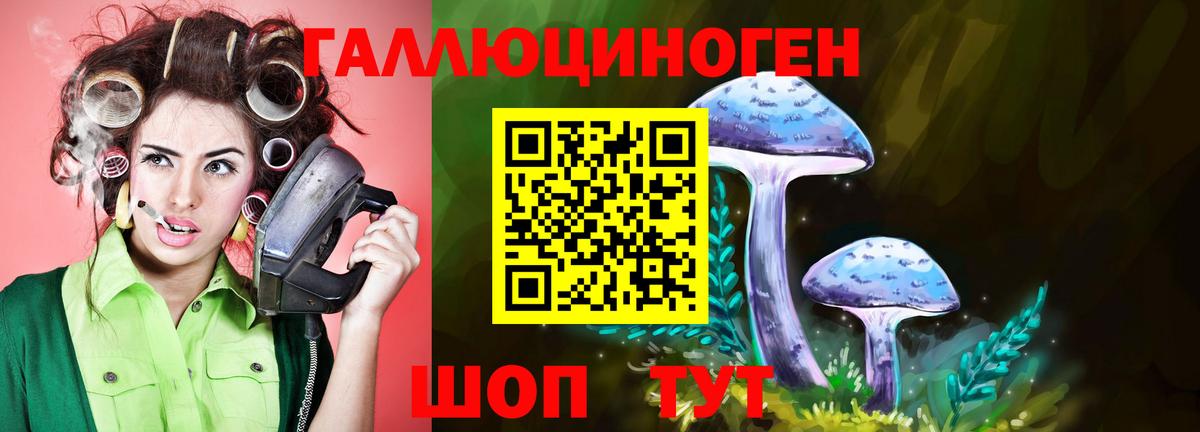 Псилоцибиновые грибы Cubensis Аша