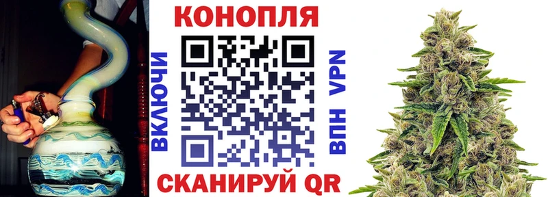 Бошки Шишки тримм  Аша 